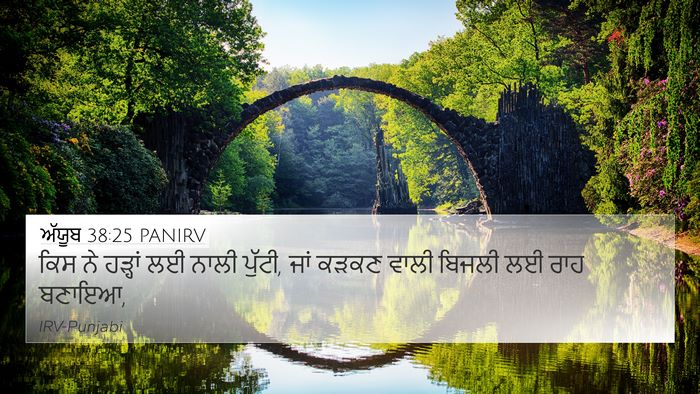 ਅੱਯੂਬ 38:25 PANIRV Bible Verse Image