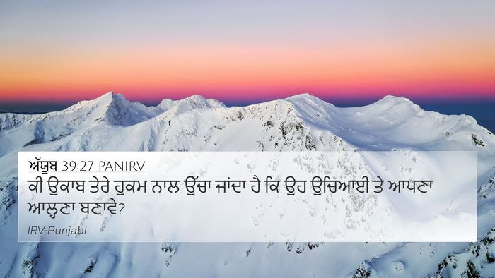 ਅੱਯੂਬ 39:27 PANIRV Bible Verse Image
