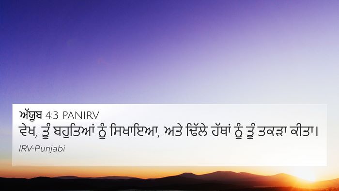 ਅੱਯੂਬ 4:3 PANIRV Bible Verse Image