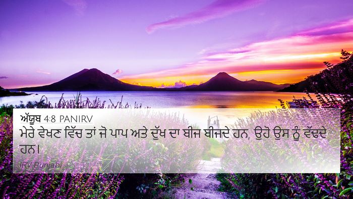 ਅੱਯੂਬ 4:8 PANIRV Bible Verse Image