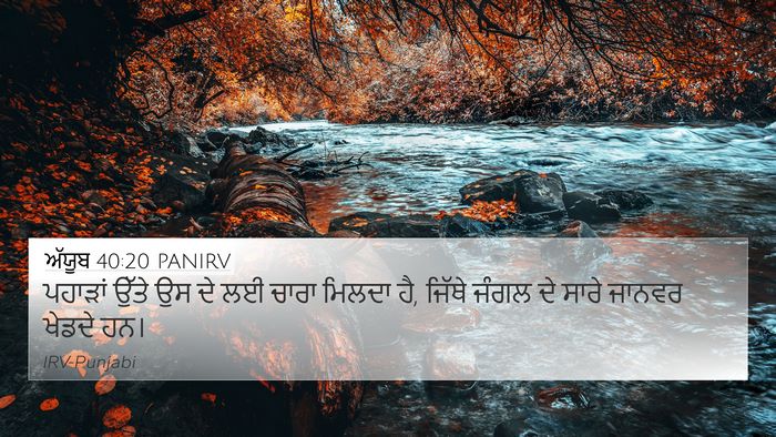 ਅੱਯੂਬ 40:20 PANIRV Bible Verse Image