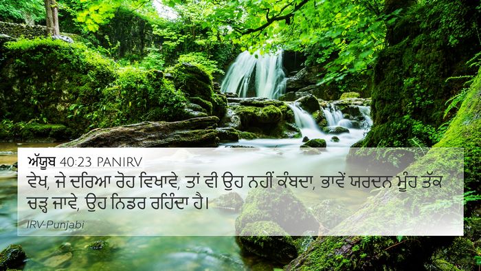 ਅੱਯੂਬ 40:23 PANIRV 4K Wallpaper - ਵੇਖ, ਜੇ ਦਰਿਆ ਰੋਹ - 4K Wallpaper Bible Verse