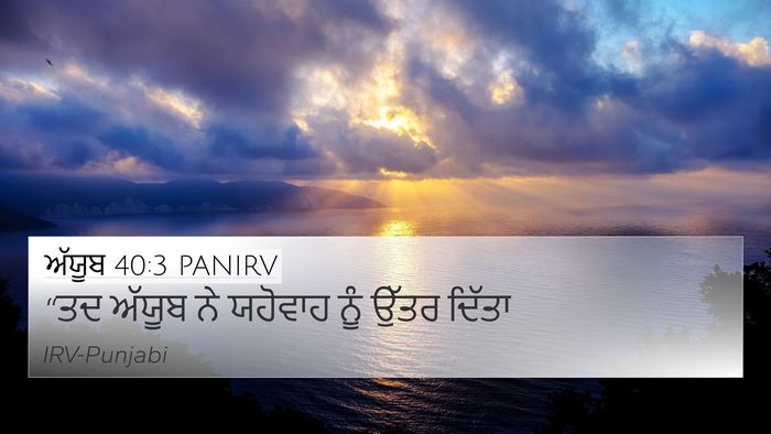 ਅੱਯੂਬ 40:3 PANIRV 4K Wallpaper - “ਤਦ ਅੱਯੂਬ ਨੇ - 4K Wallpaper Bible Verse