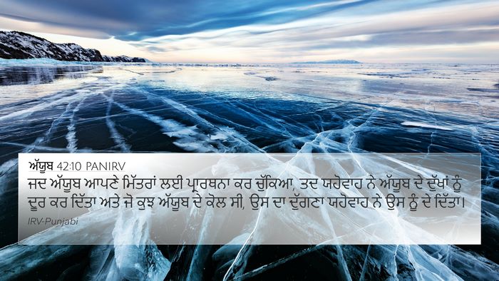 ਅੱਯੂਬ 42:10 PANIRV Bible Verse Image