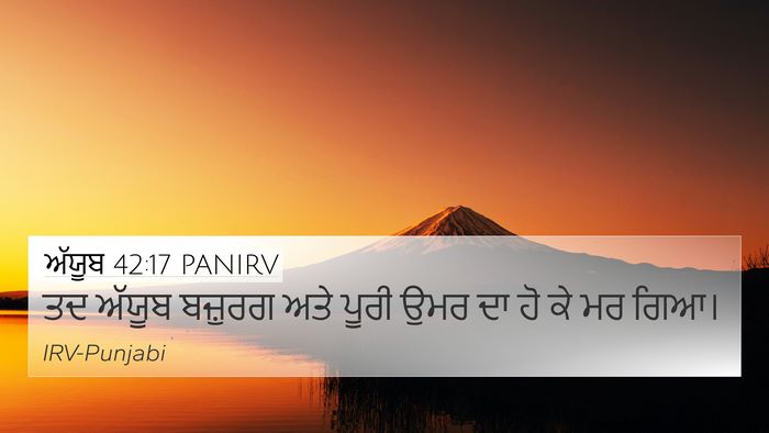 ਅੱਯੂਬ 42:17 PANIRV Bible Verse Image