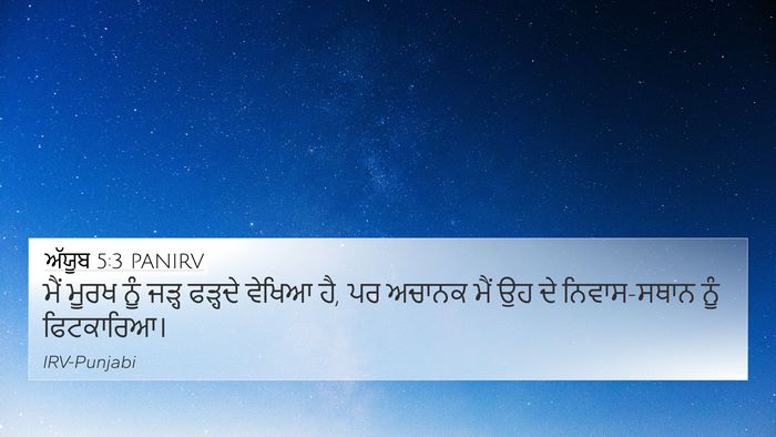 ਅੱਯੂਬ 5:3 PANIRV Bible Verse Image