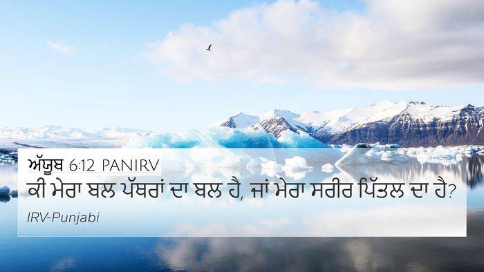 ਅੱਯੂਬ 6:12 PANIRV Bible Verse Image