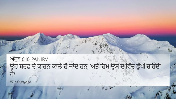 ਅੱਯੂਬ 6:16 PANIRV Bible Verse Image