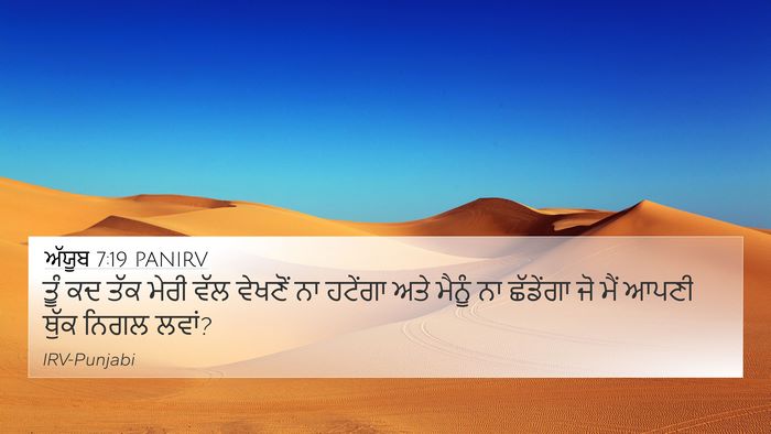 ਅੱਯੂਬ 7:19 PANIRV Bible Verse Image