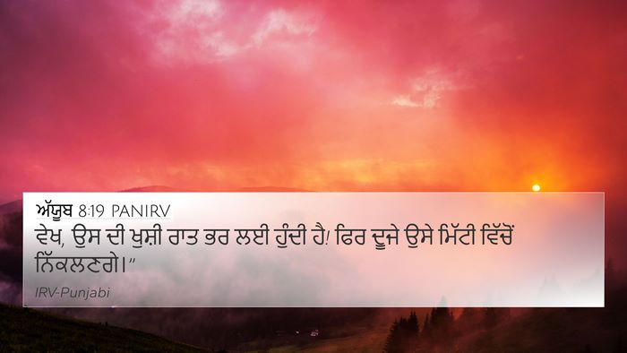 ਅੱਯੂਬ 8:19 PANIRV Bible Verse Image