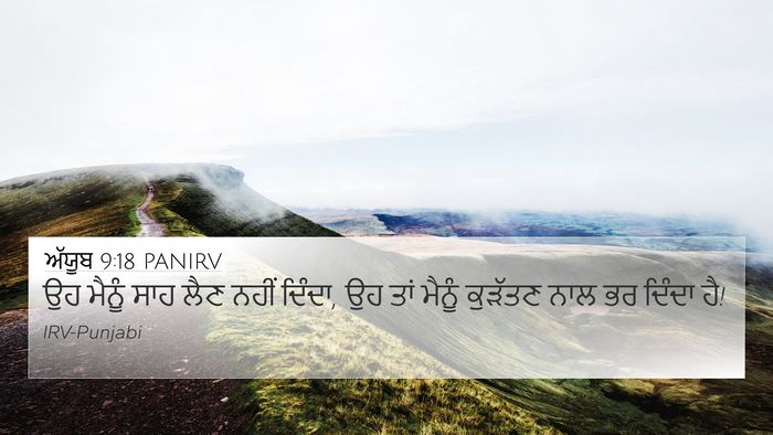 ਅੱਯੂਬ 9:18 PANIRV Bible Verse Image