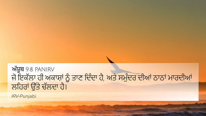 ਅੱਯੂਬ 9:8 PANIRV Bible Verse Image