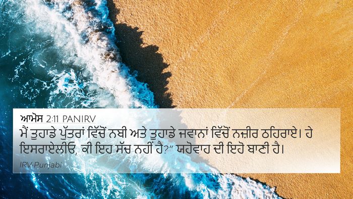 ਆਮੋਸ 2:11 PANIRV Bible Verse Image