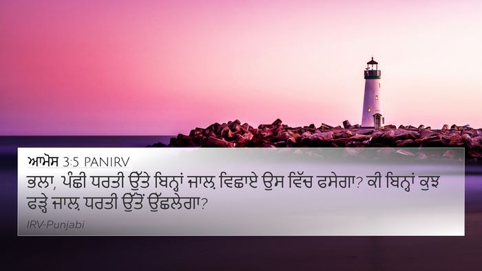 ਆਮੋਸ 3:5 PANIRV Bible Verse Image