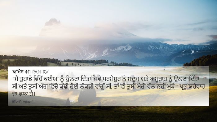 ਆਮੋਸ 4:11 PANIRV Bible Verse Image