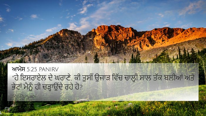 ਆਮੋਸ 5:25 PANIRV Bible Verse Image