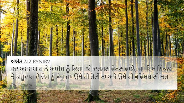 ਆਮੋਸ 7:12 PANIRV Bible Verse Image