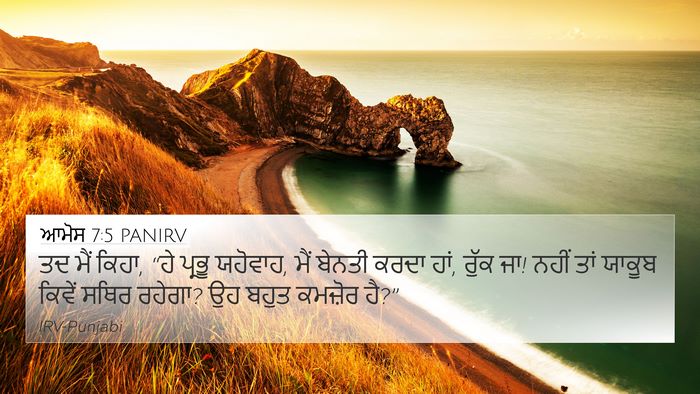 ਆਮੋਸ 7:5 PANIRV Bible Verse Image