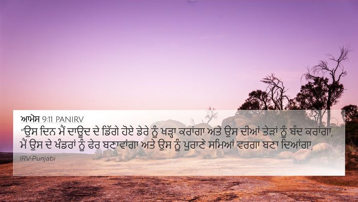ਆਮੋਸ 9:11 PANIRV Bible Verse Image