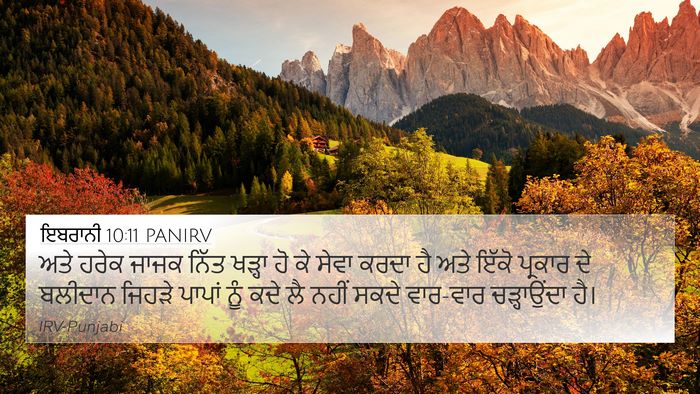 ਇਬਰਾਨੀ 10:11 PANIRV Bible Verse Image