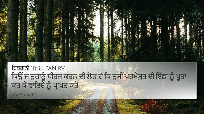 ਇਬਰਾਨੀ 10:36 PANIRV Bible Verse Image