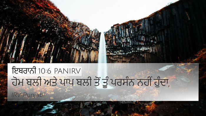 ਇਬਰਾਨੀ 10:6 PANIRV Bible Verse Image