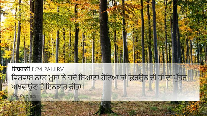 ਇਬਰਾਨੀ 11:24 PANIRV Bible Verse Image