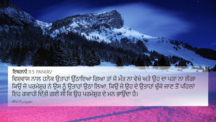 ਇਬਰਾਨੀ 11:5 PANIRV Bible Verse Image