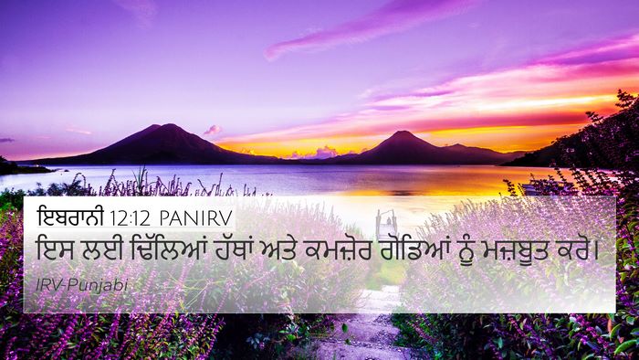 ਇਬਰਾਨੀ 12:12 PANIRV Bible Verse Image