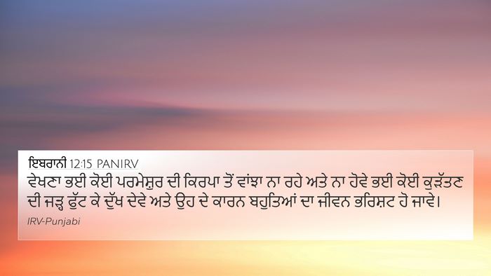 ਇਬਰਾਨੀ 12:15 PANIRV Bible Verse Image