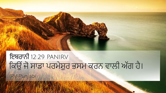 ਇਬਰਾਨੀ 12:29 PANIRV Bible Verse Image