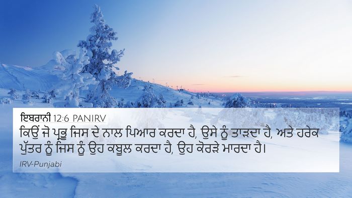 ਇਬਰਾਨੀ 12:6 PANIRV Bible Verse Image