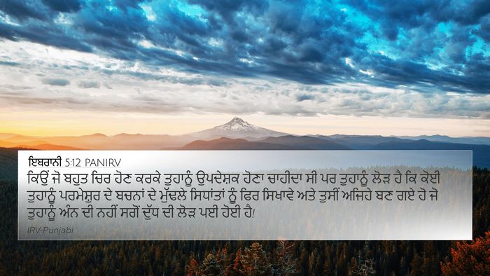 ਇਬਰਾਨੀ 5:12 PANIRV Bible Verse Image