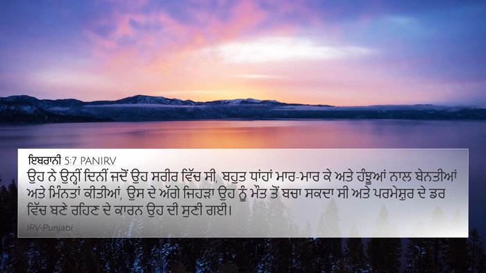 ਇਬਰਾਨੀ 5:7 PANIRV Bible Verse Image