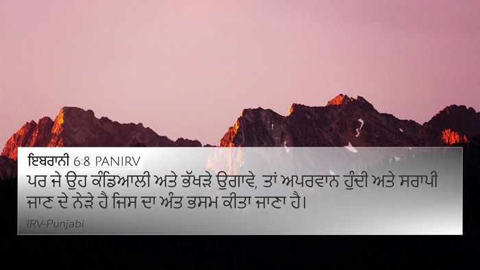 ਇਬਰਾਨੀ 6:8 PANIRV Bible Verse Image