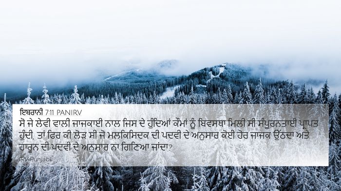 ਇਬਰਾਨੀ 7:11 PANIRV Bible Verse Image