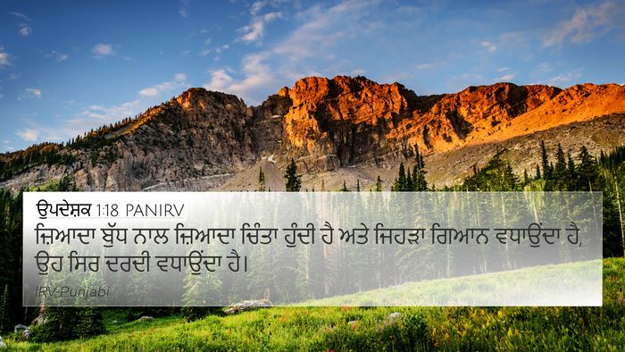 ਉਪਦੇਸ਼ਕ 1:18 PANIRV Bible Verse Image