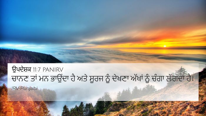 ਉਪਦੇਸ਼ਕ 11:7 PANIRV Bible Verse Image