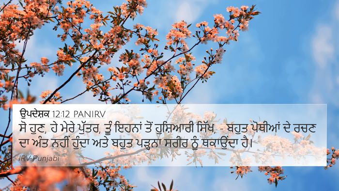 ਉਪਦੇਸ਼ਕ 12:12 PANIRV Bible Verse Image