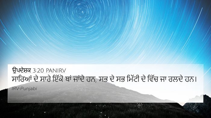 ਉਪਦੇਸ਼ਕ 3:20 PANIRV Bible Verse Image