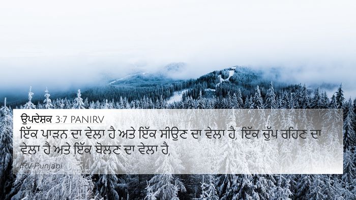 ਉਪਦੇਸ਼ਕ 3:7 PANIRV Bible Verse Image