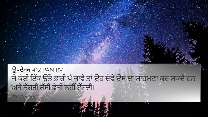 ਉਪਦੇਸ਼ਕ 4:12 PANIRV 4K Wallpaper - ਜੇ ਕੋਈ ਇੱਕ ਉੱਤੇ - 4K Wallpaper Bible Verse
