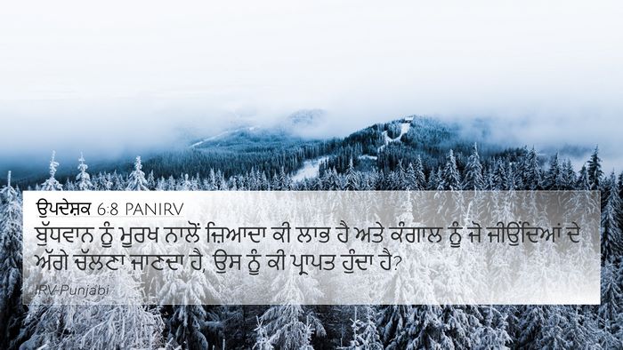 ਉਪਦੇਸ਼ਕ 6:8 PANIRV Bible Verse Image