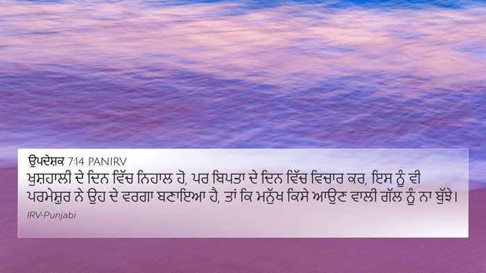 ਉਪਦੇਸ਼ਕ 7:14 PANIRV Bible Verse Image