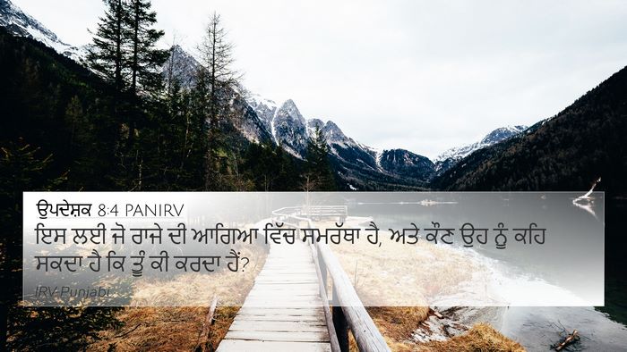 ਉਪਦੇਸ਼ਕ 8:4 PANIRV Bible Verse Image