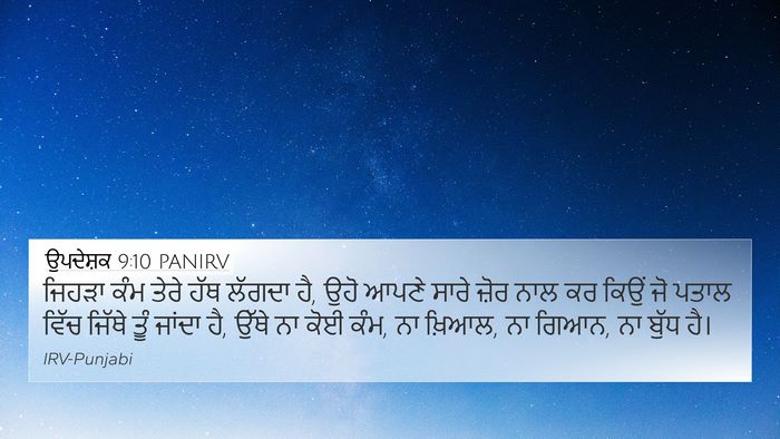 ਉਪਦੇਸ਼ਕ 9:10 PANIRV Bible Verse Image