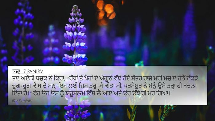 ਕਜ਼ਾૃ 1:7 PANIRV Bible Verse Image