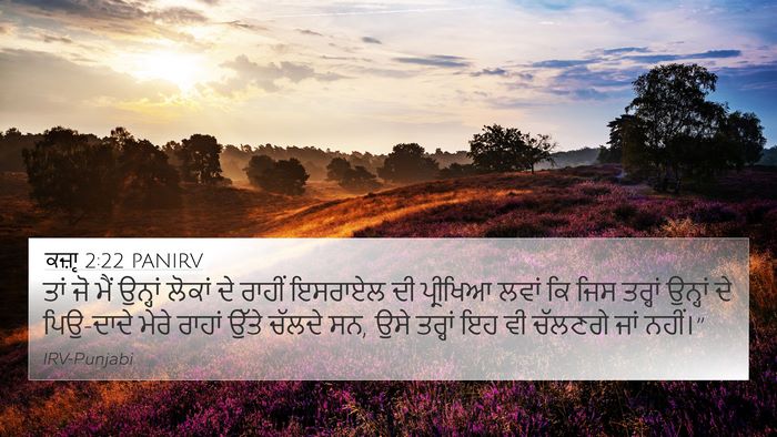 ਕਜ਼ਾૃ 2:22 PANIRV Bible Verse Image