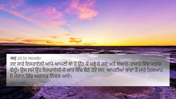 ਕਜ਼ਾૃ 20:33 PANIRV Bible Verse Image