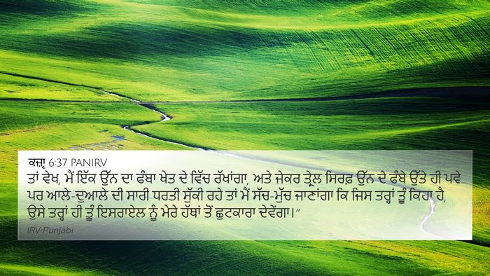 ਕਜ਼ਾૃ 6:37 PANIRV Bible Verse Image